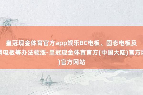 皇冠现金体育官方app娱乐BC电板、固态电板及麒麟电板等办法领涨-皇冠现金体育官方(中国大陆)官方网站