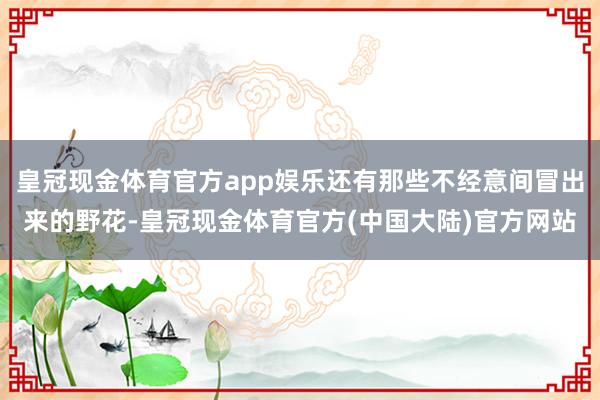 皇冠现金体育官方app娱乐还有那些不经意间冒出来的野花-皇冠现金体育官方(中国大陆)官方网站