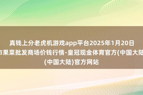 真钱上分老虎机游戏app平台2025年1月20日辽宁向阳市果菜批发商场价钱行情-皇冠现金体育官方(中国大陆)官方网站